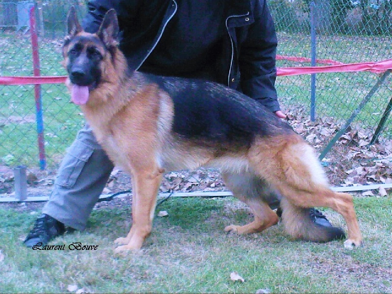 Dunga des berger de dyto