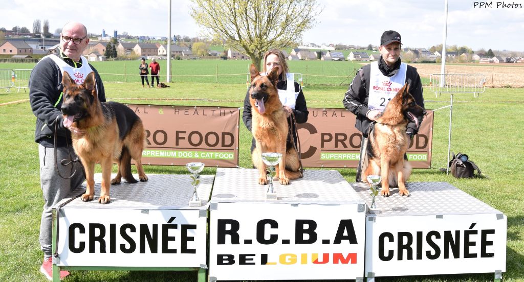 sagane se classe 2 em a crisnee en belgique